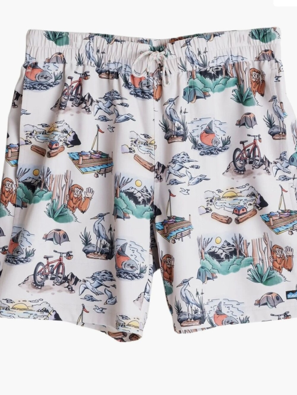 KAVU Costa Short Men's Medium Pink Scenic Print Swim Trunk Outdoor Camp